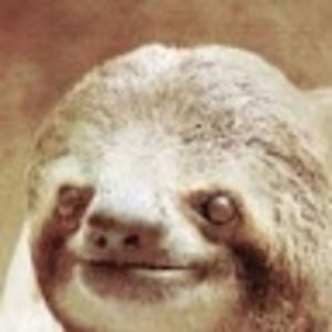 Meet your Posher, Clayton